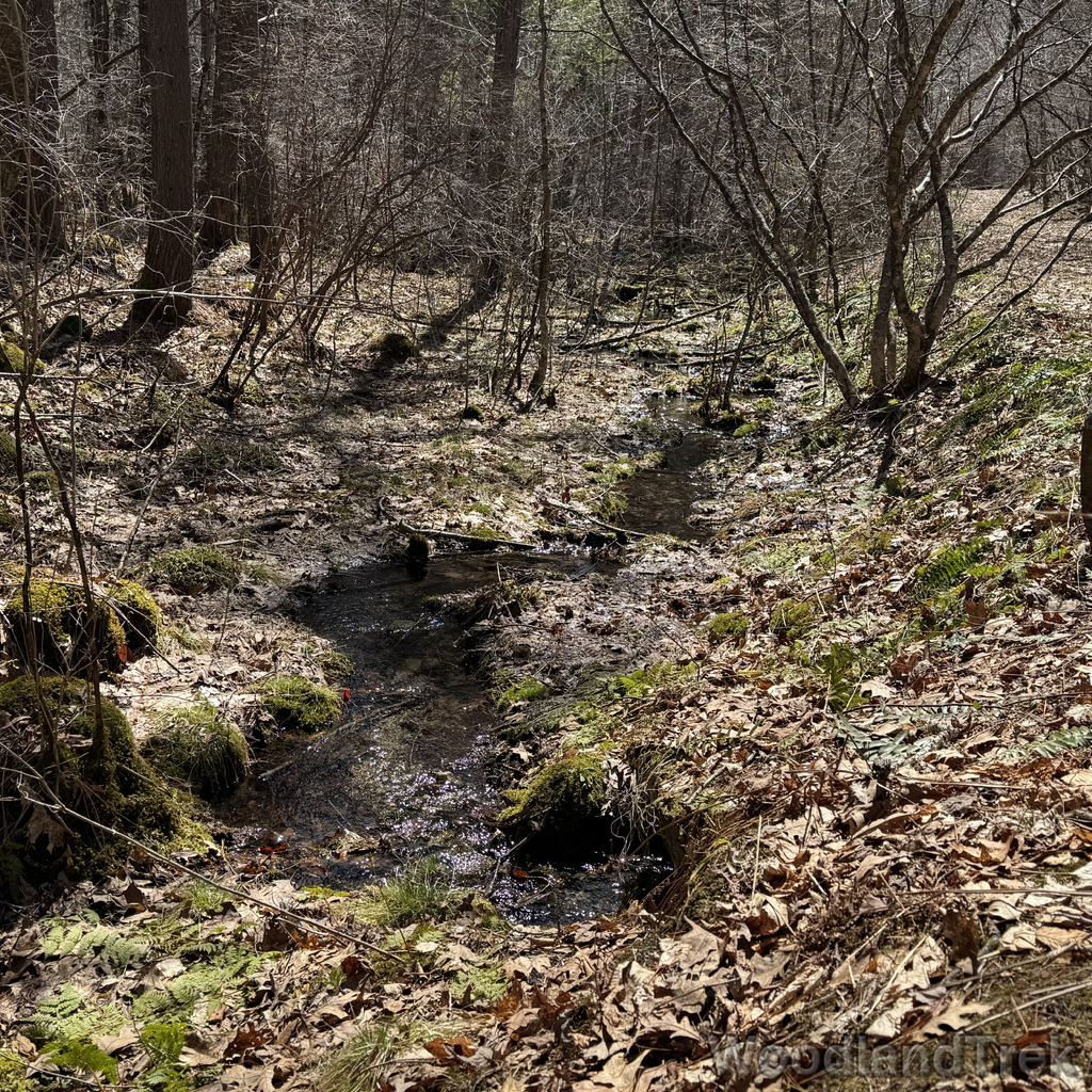 2026-04-04_120306_00