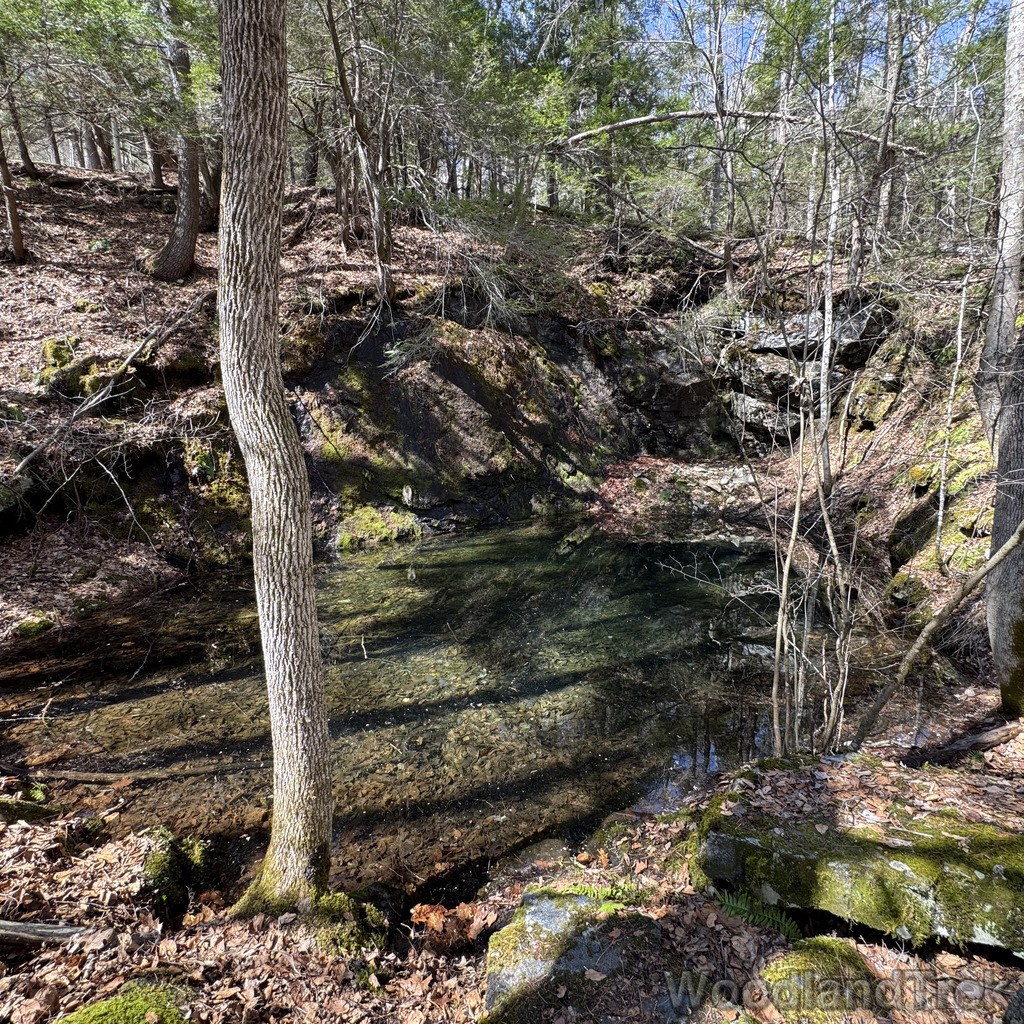 2026-04-04_120534_00