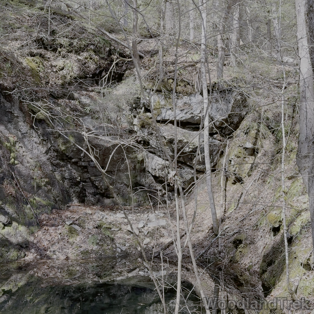 2026-04-04_120546_00