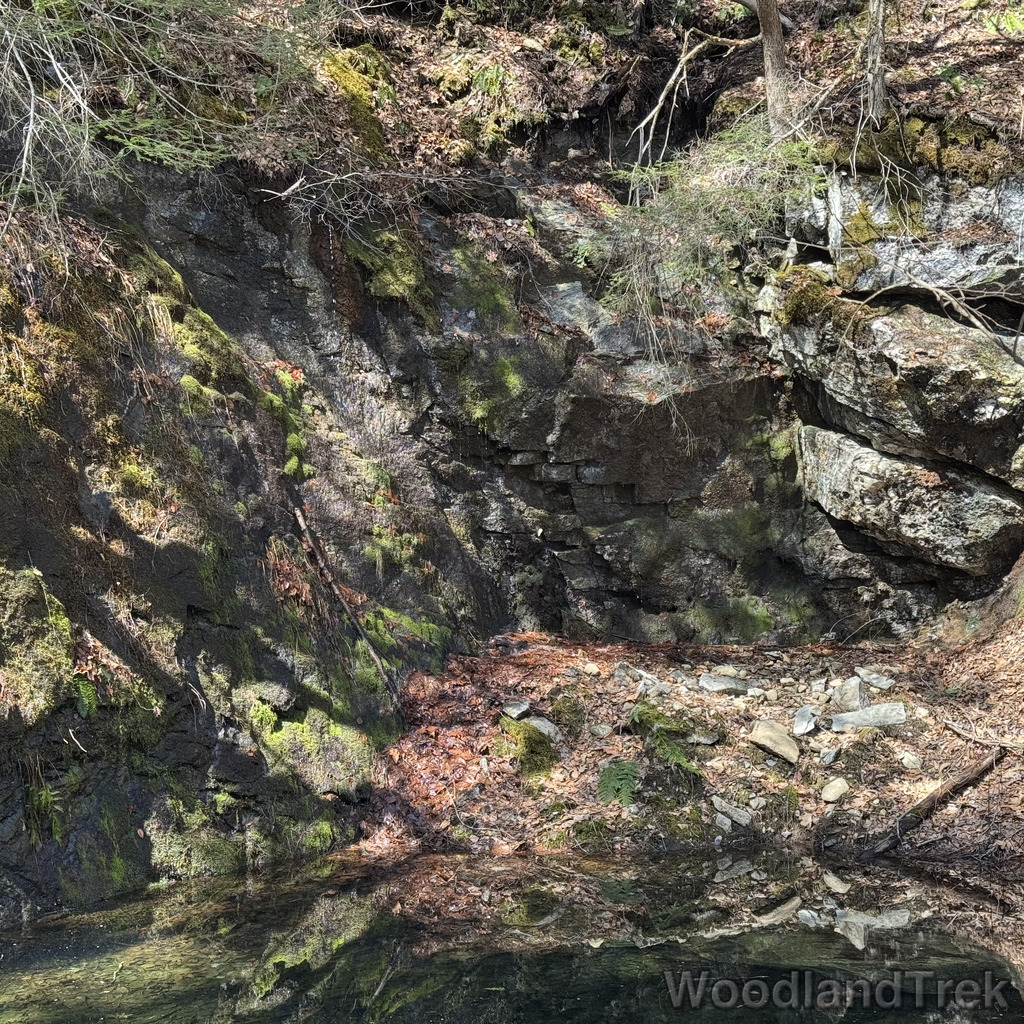 2026-04-04_120704_00