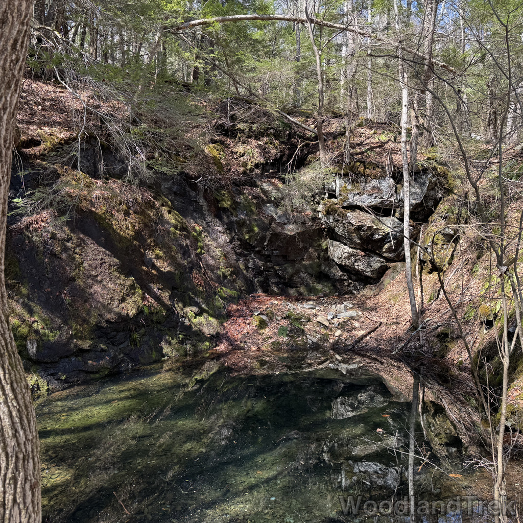 2026-04-04_120711_00