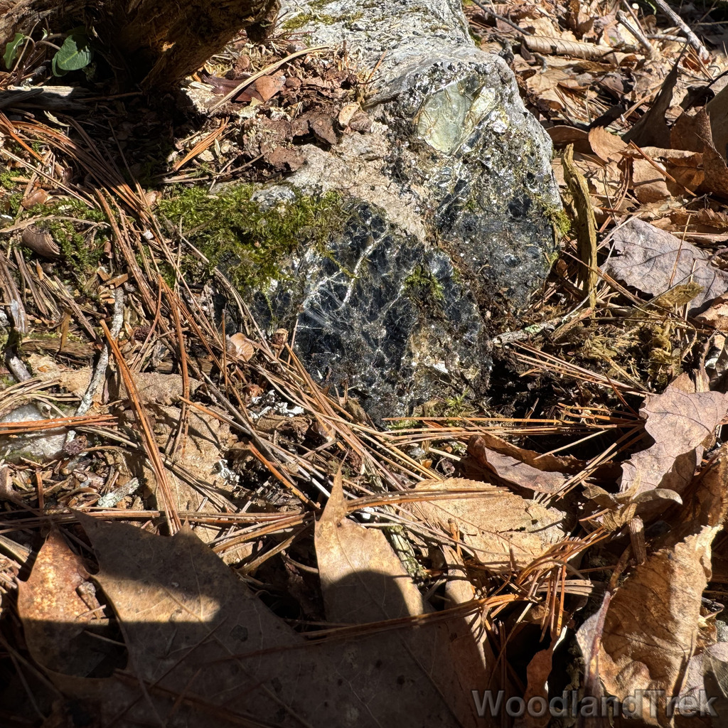 2026-04-04_120934_00