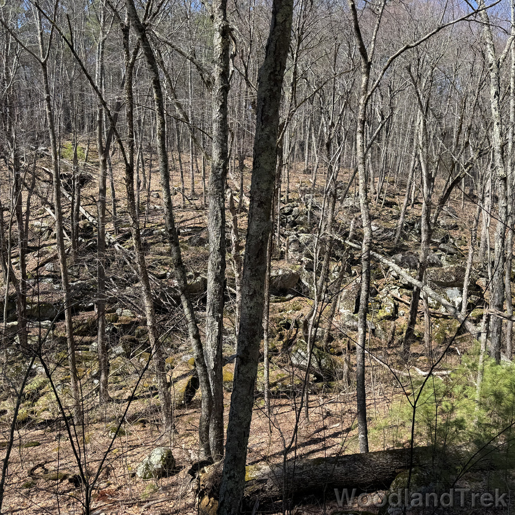 2026-04-04_122335_00