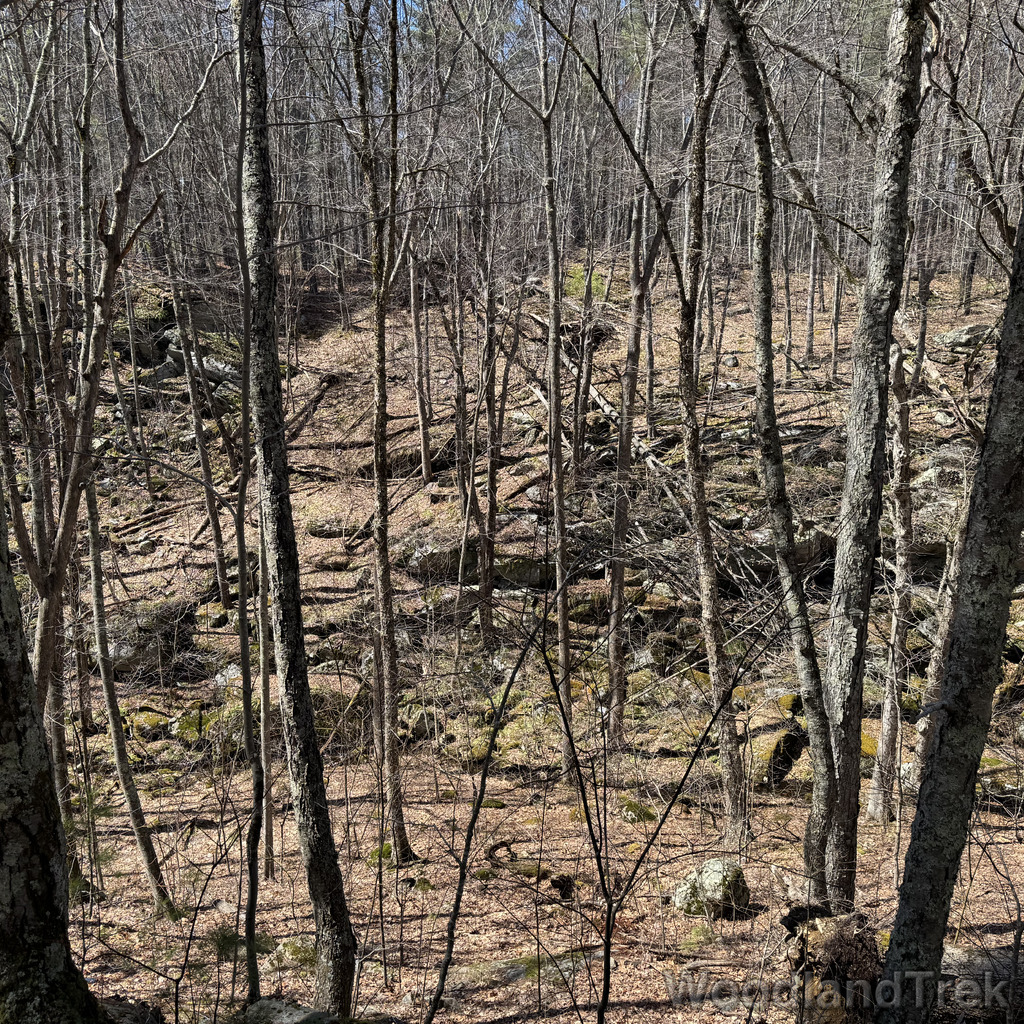 2026-04-04_122336_00