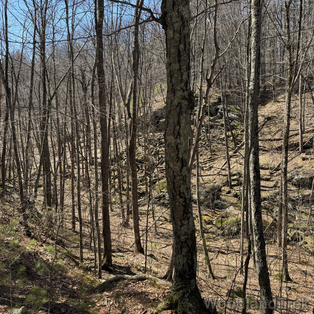 2026-04-04_122339_00