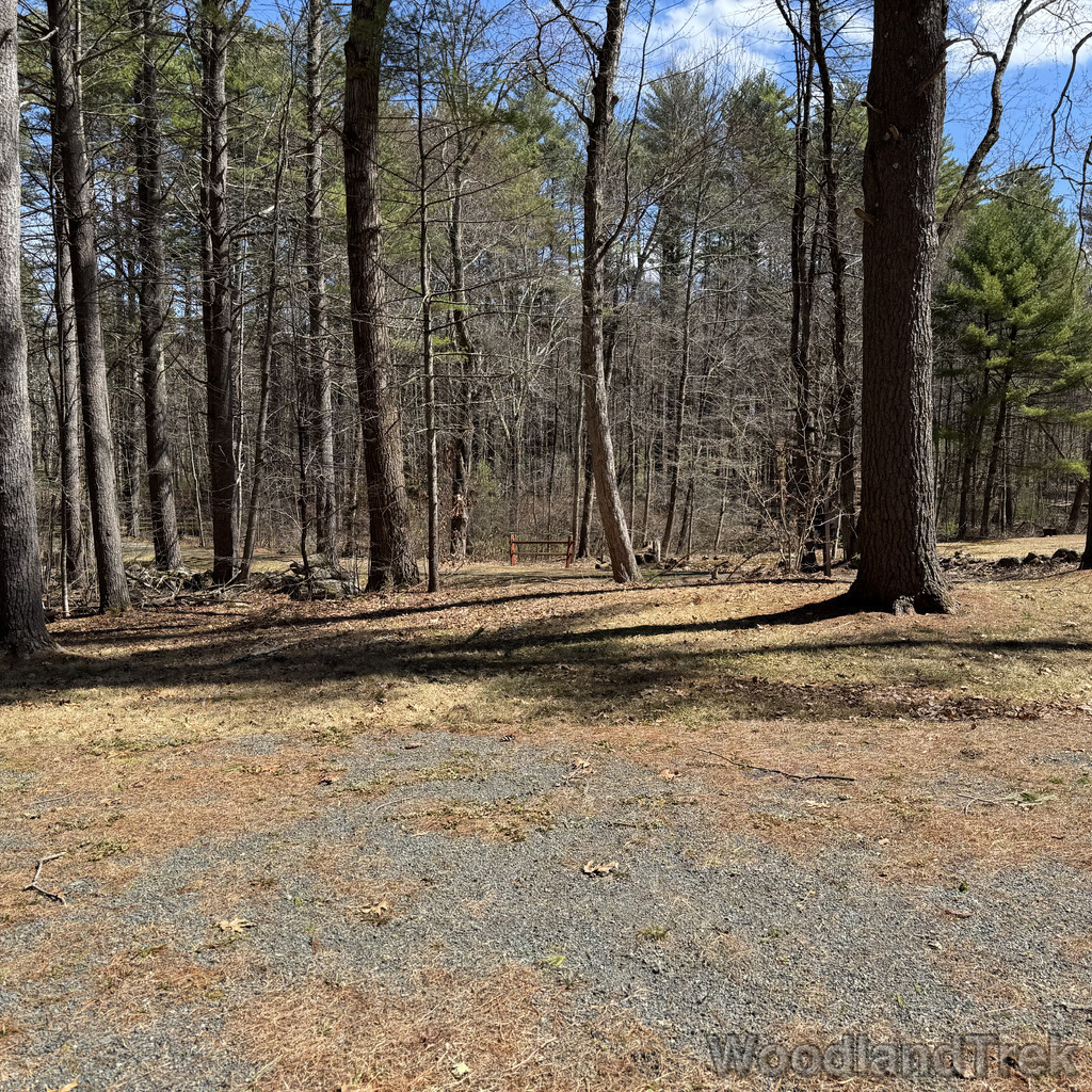 2026-04-04_124044_00