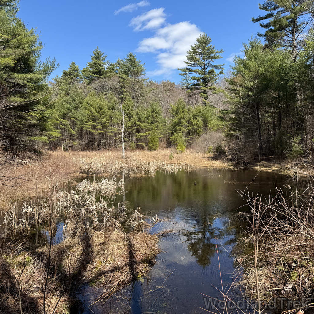 2026-04-04_125152_00