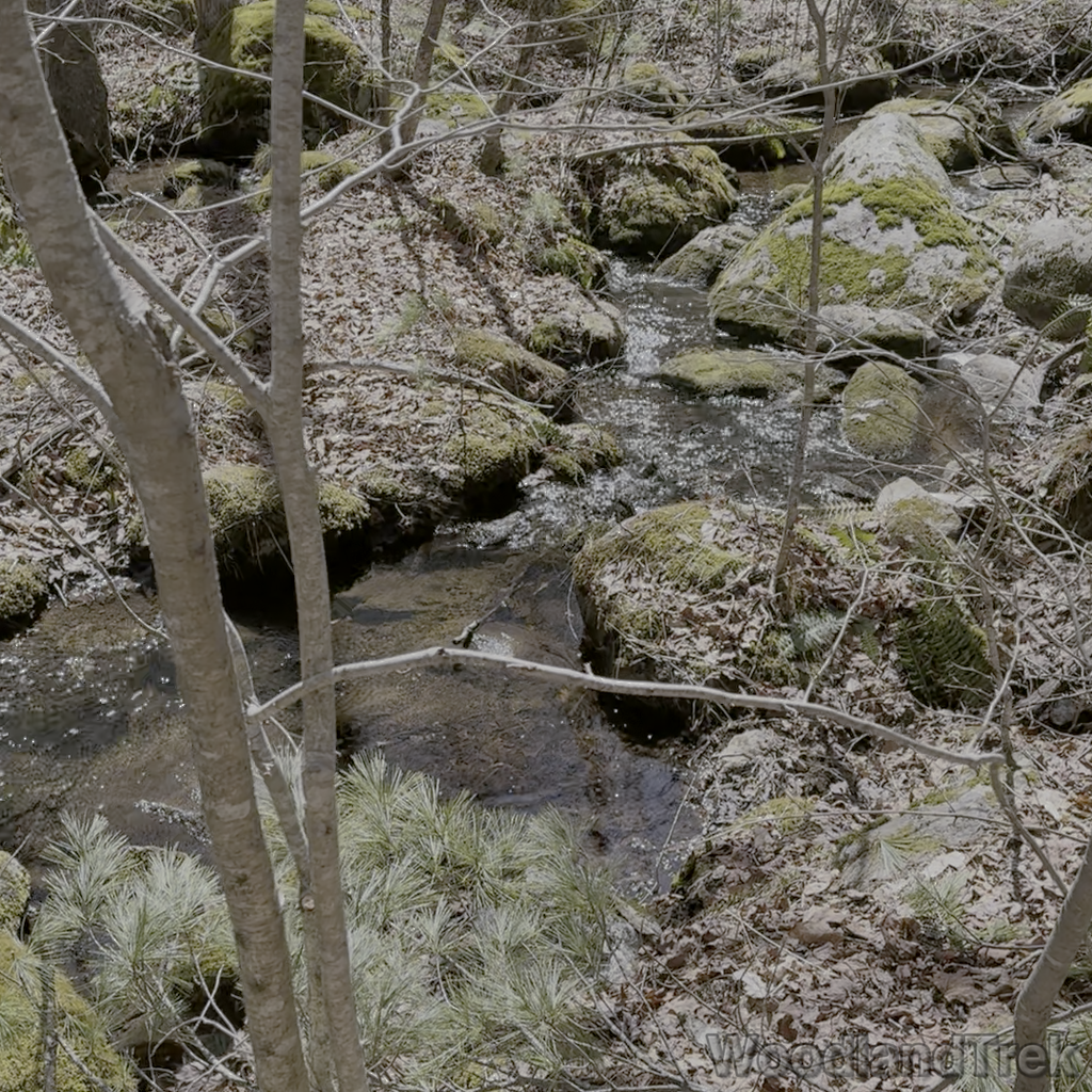 2026-04-04_125244_00