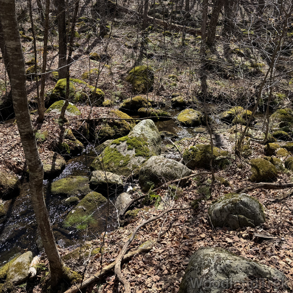 2026-04-04_125326_00