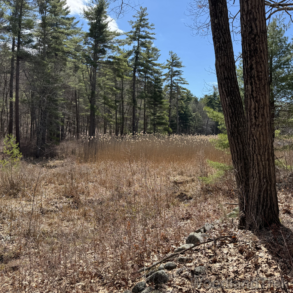 2026-04-04_125957_00