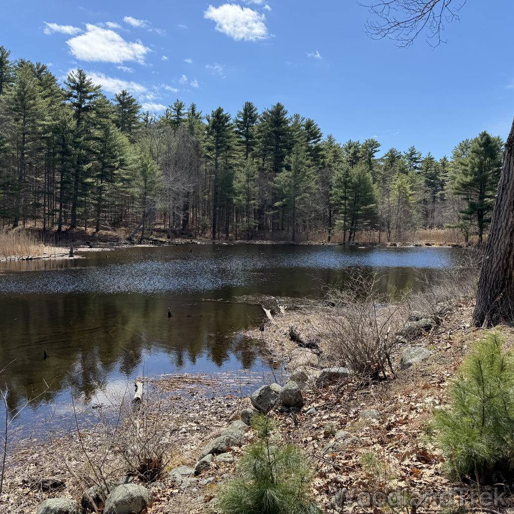 2026-04-04_130142_00