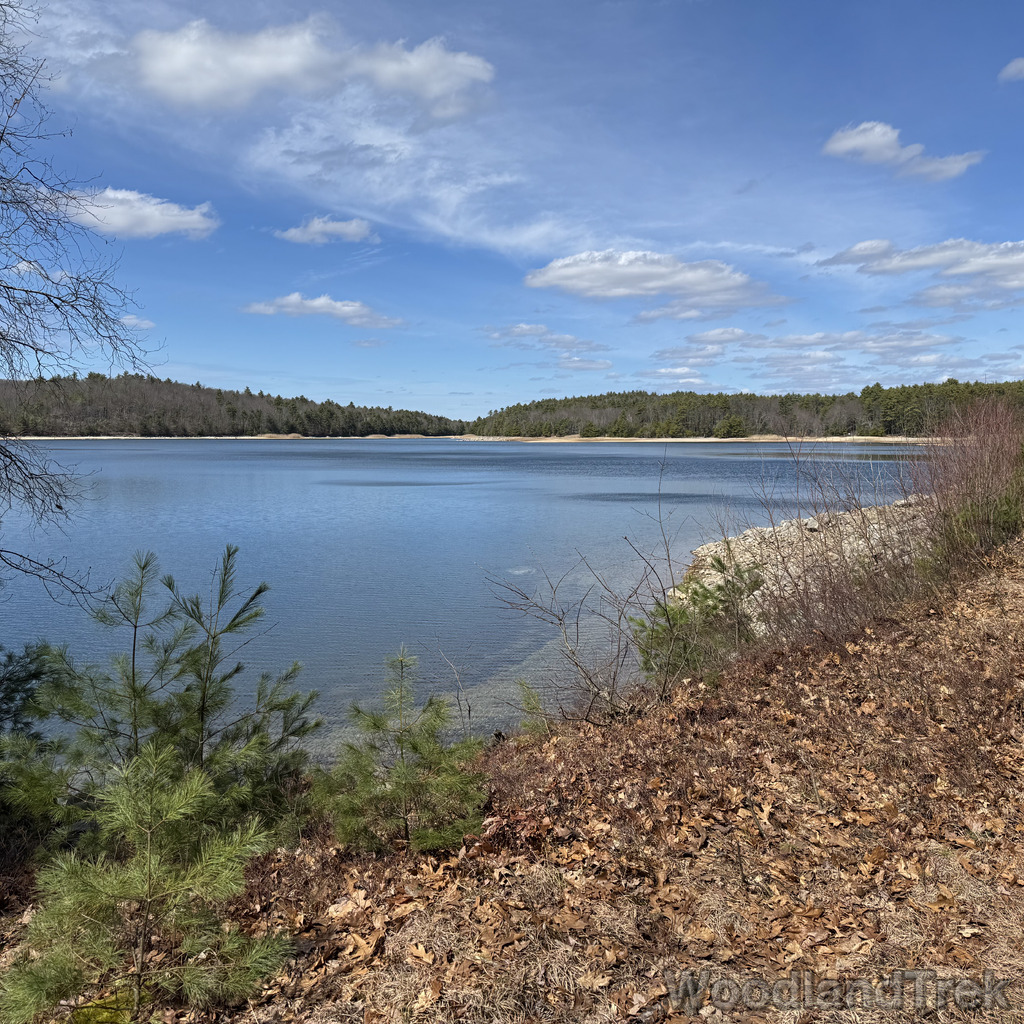 2026-04-04_132546_00