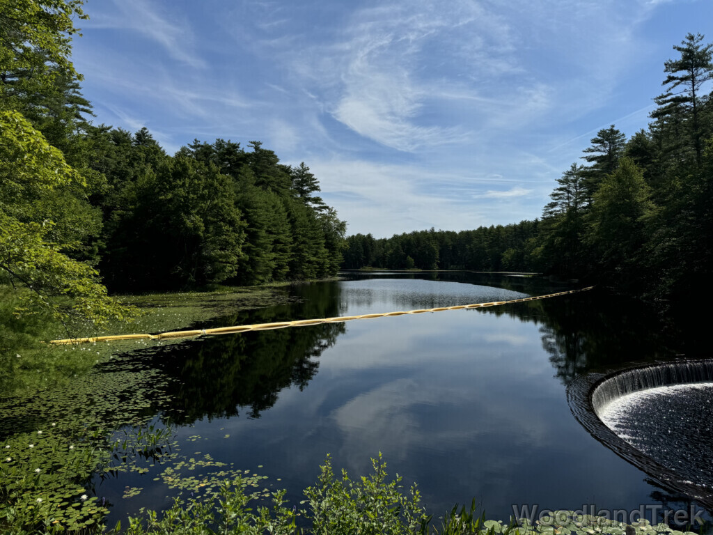 Forest-lined pond with boom protecting a horseshoe-shaped dam regulating flow into the Quabbin Reservoir