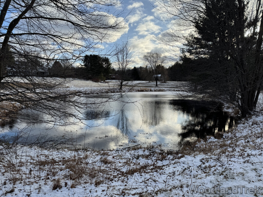 Clouds reflected on a half-frozen pond bordered by a snow-covered open field