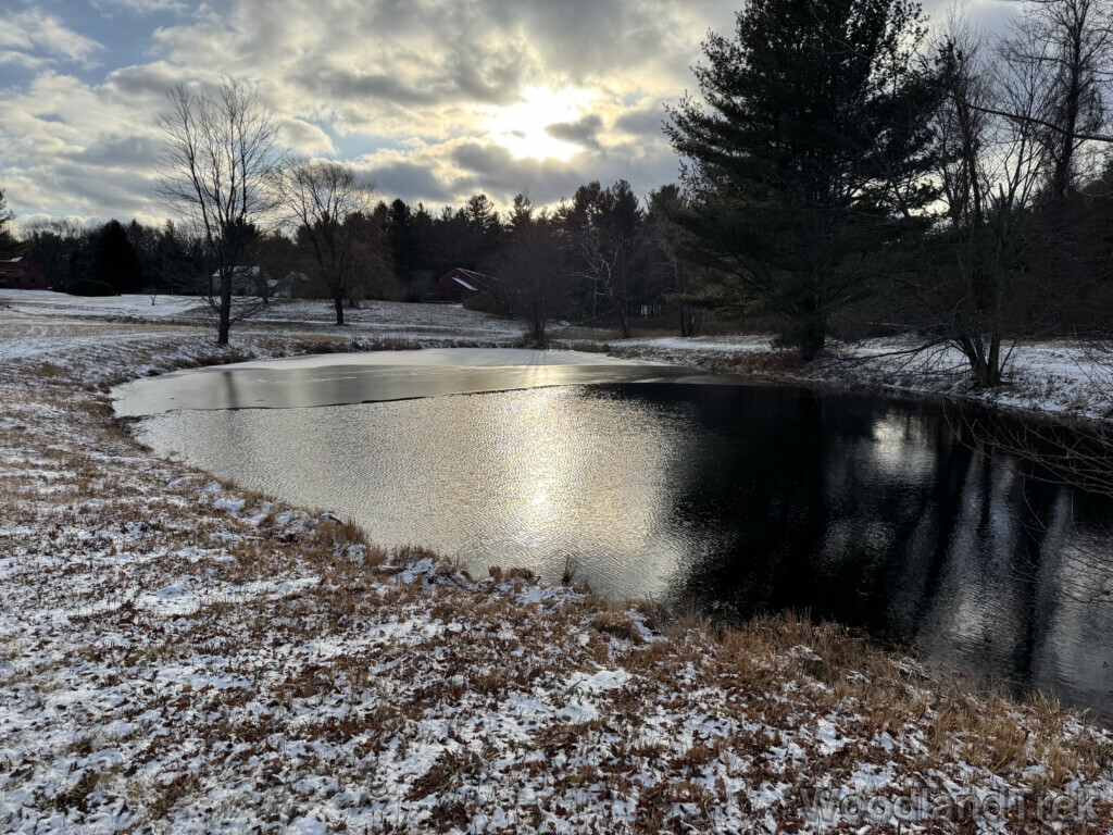 Shimmering light reflecting off soft ripples on a half-frozen pond