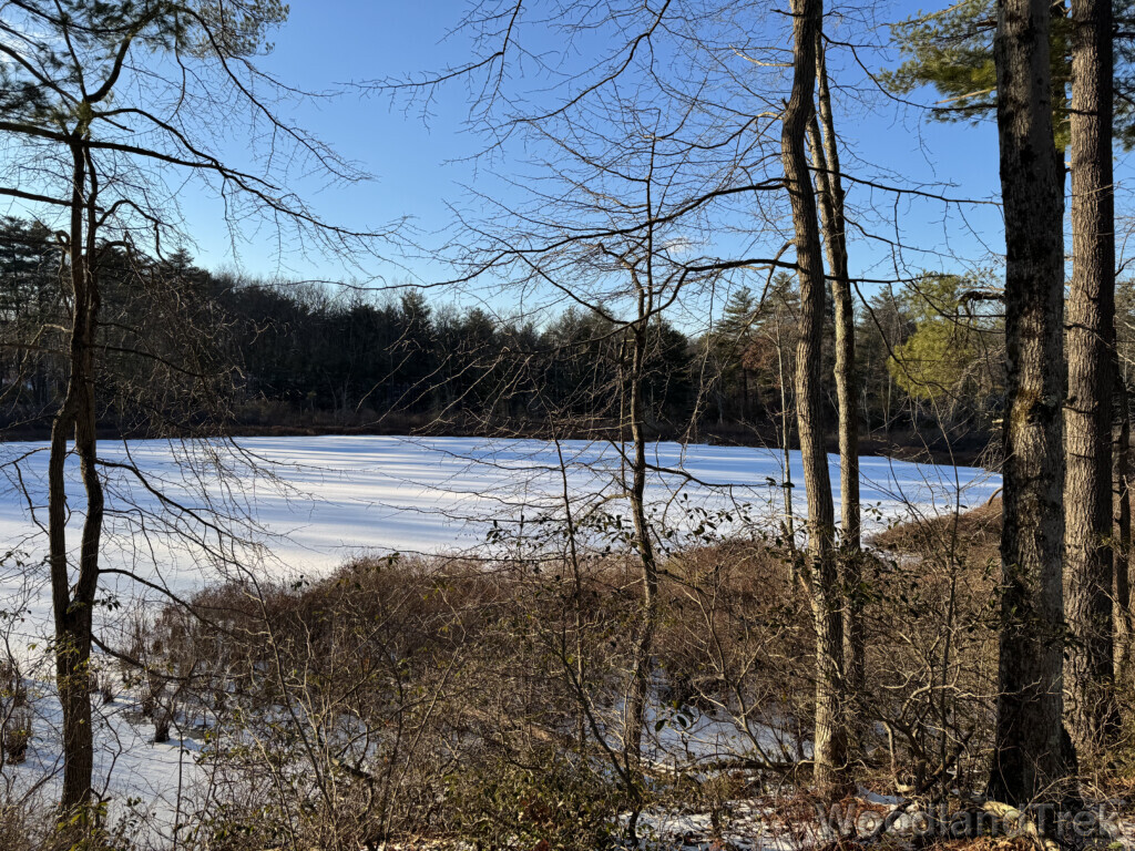 Snow-covered frozen pond in shadow beneath a blue sky