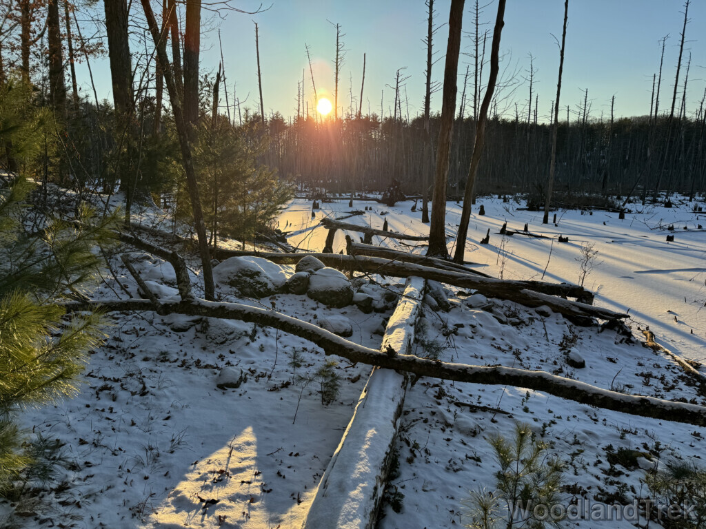 Sun low above the horizon illuminating a frozen snow-covered pond