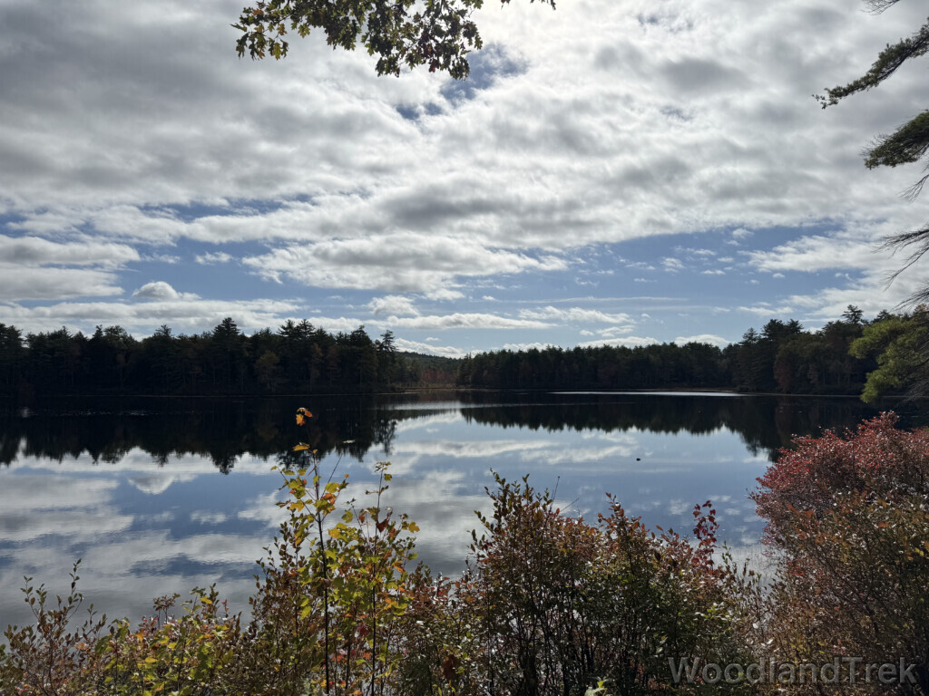 Glassy pond reflecting clouds in a mirror-like surface