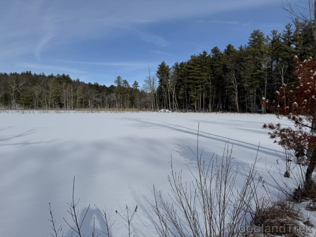 Undisturbed bright white snow covering a frozen pond surrounded by forest