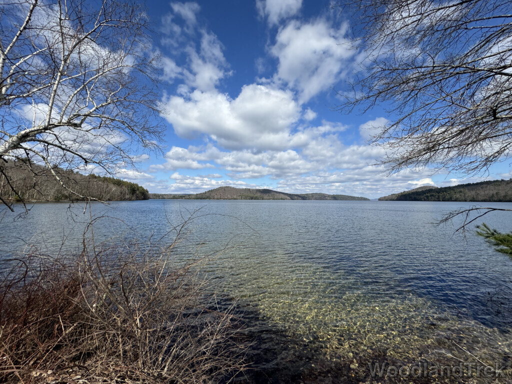 Clear, rippled water of Quabbin Reservoir in March, with leafless trees along the distant shore