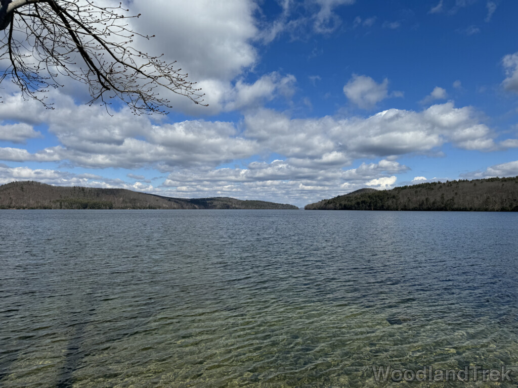 Clear, rippled water of Quabbin Reservoir in March, with leafless trees along the shore