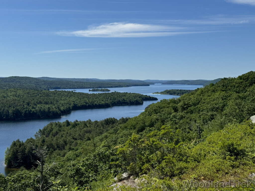 Expansive view of Quabbin Reservoir from Rattlesnake Hill, with deep blue water and rich green forests under bright sunlight