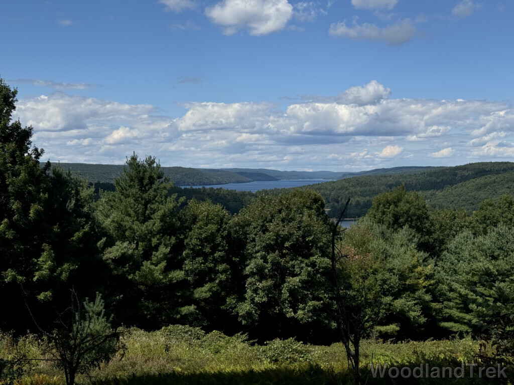 West Fork of Quabbin Reservoir viewed from Enfield Lookout, with blue water and steep distant coastline
