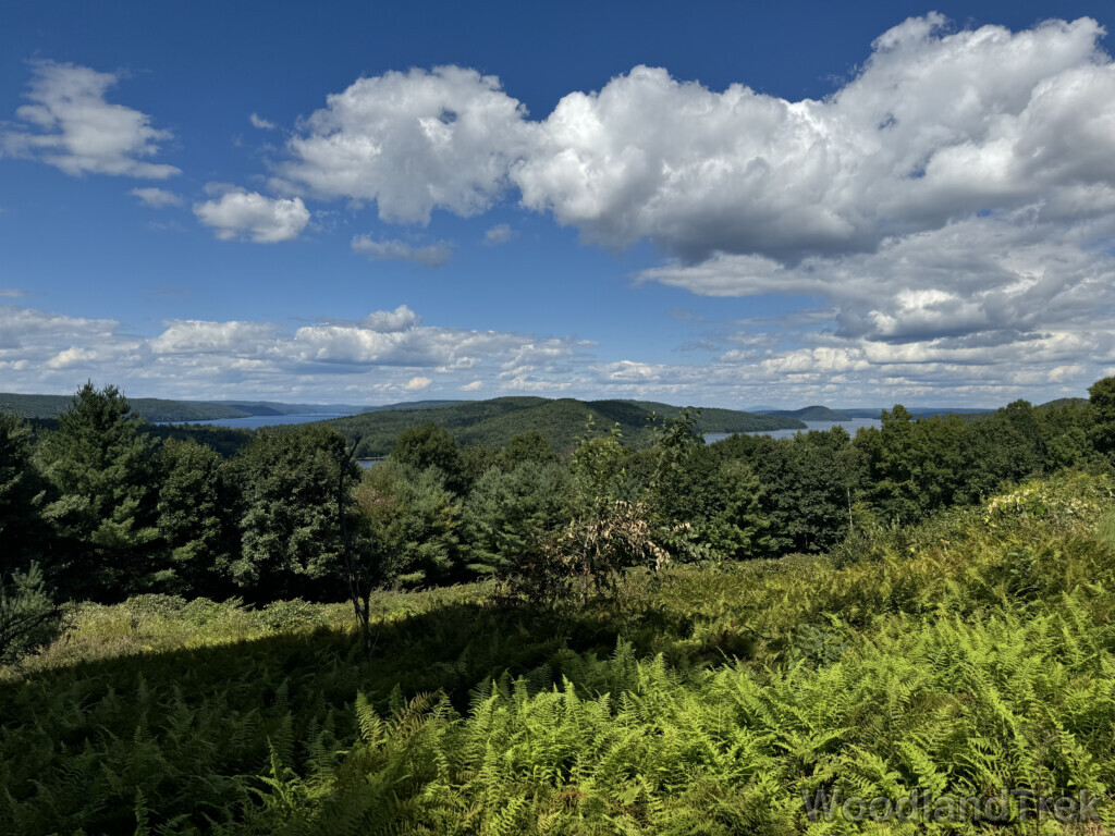 East and West Forks of Quabbin Reservoir viewed from Enfield Lookout, with blue water and vast forest