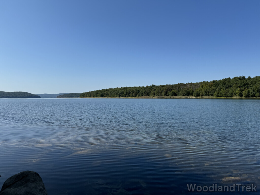 Rippled surface of Quabbin Reservoir with bright sunlight illuminating the dark green forest along the distant shore