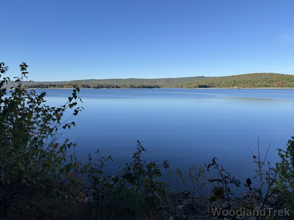 Shaded shoreline overlooking the bright blue, glassy waters of Quabbin Reservoir