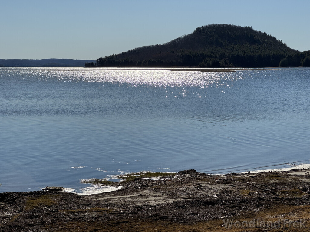 Sunlight sparkling on the surface of Quabbin Reservoir, with an island in the distance