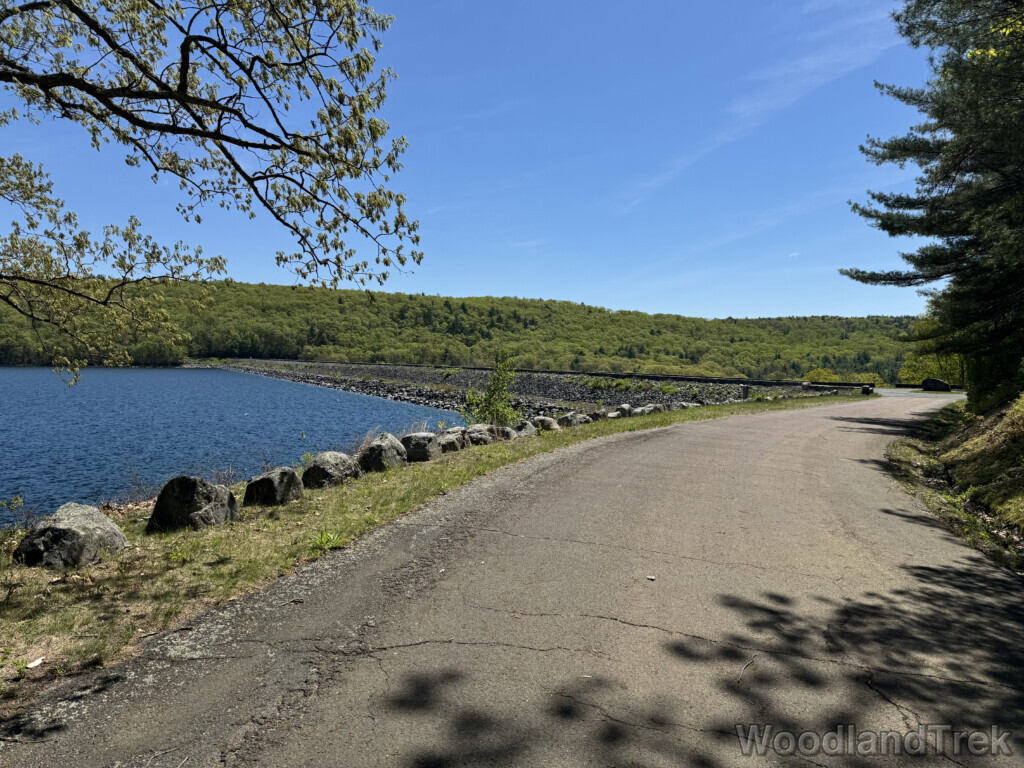 View of the Goodnough Dike with water on the near side and lush forest beyond