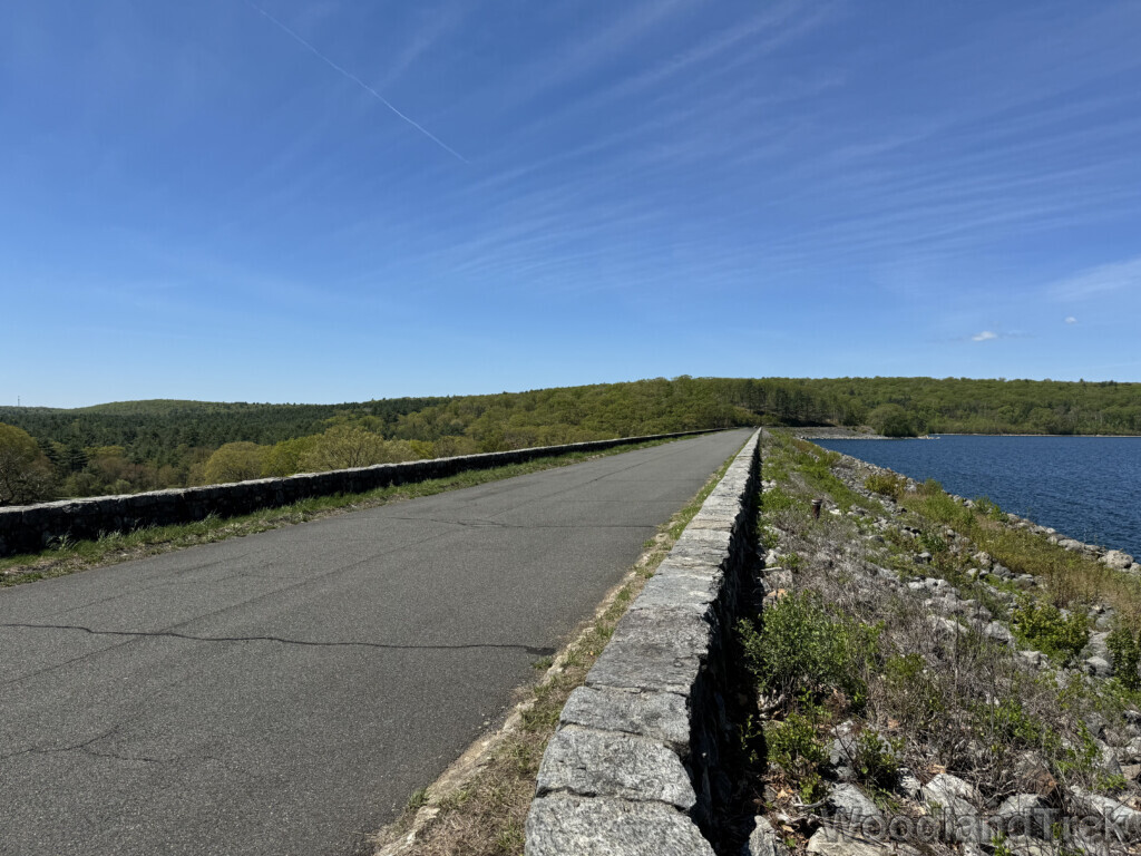 Looking down the access road atop the Goodnough Dike, with forest beyond under a clear blue sky