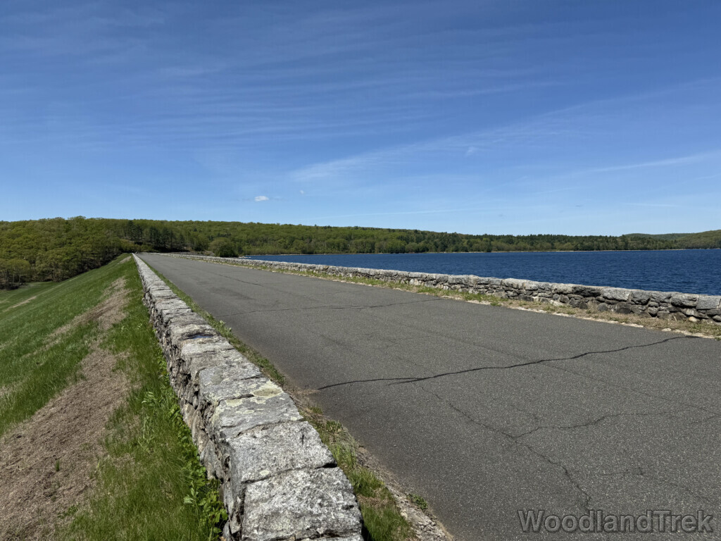 Looking down the access road atop the Goodnough Dike, showing contrast between the water and the dike’s face