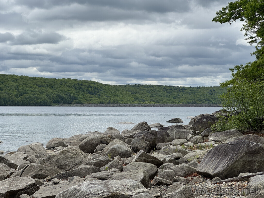 View of Quabbin Reservoir with rocky shoreline and the Goodnough Dike visible across the water, forest beyond