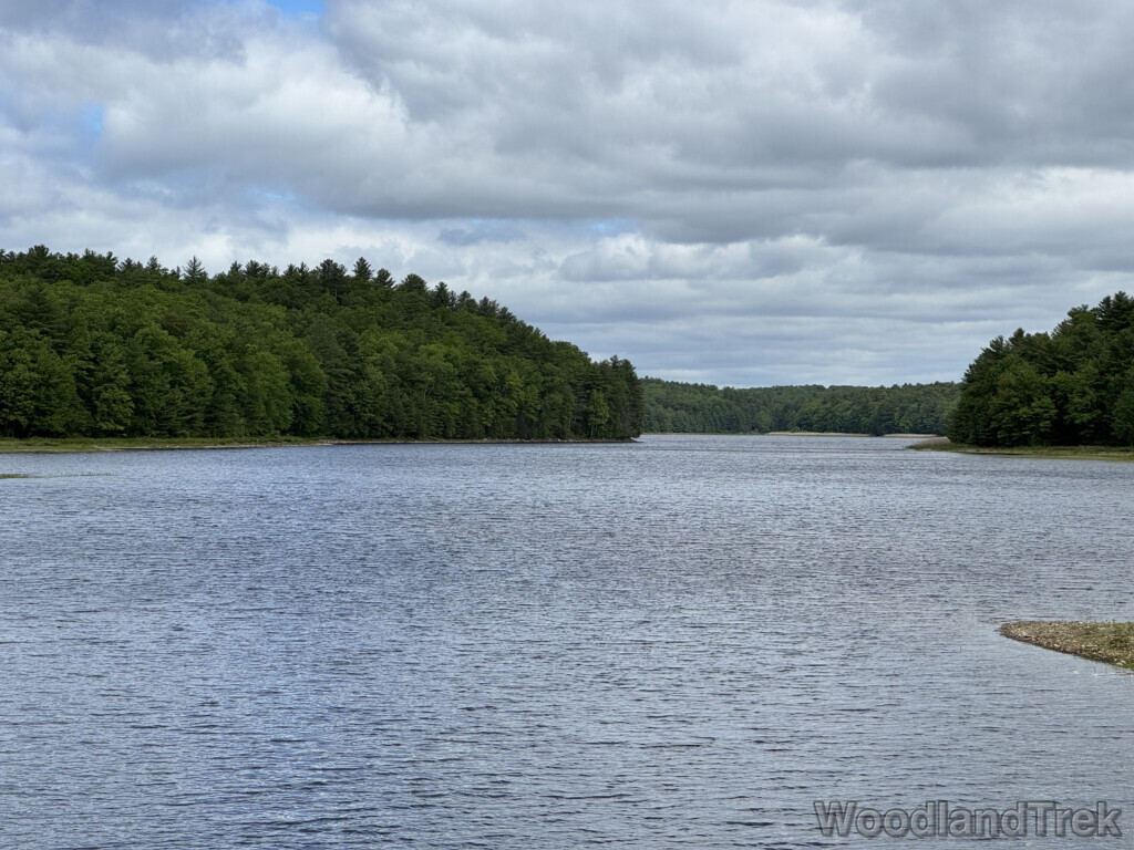 Quabbin Reservoir with dense green forests across the water and gentle ripples