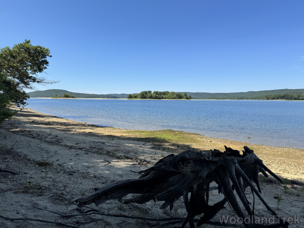 Sandy shore at Quabbin Reservoir with driftwood and deep blue water under clear sky
