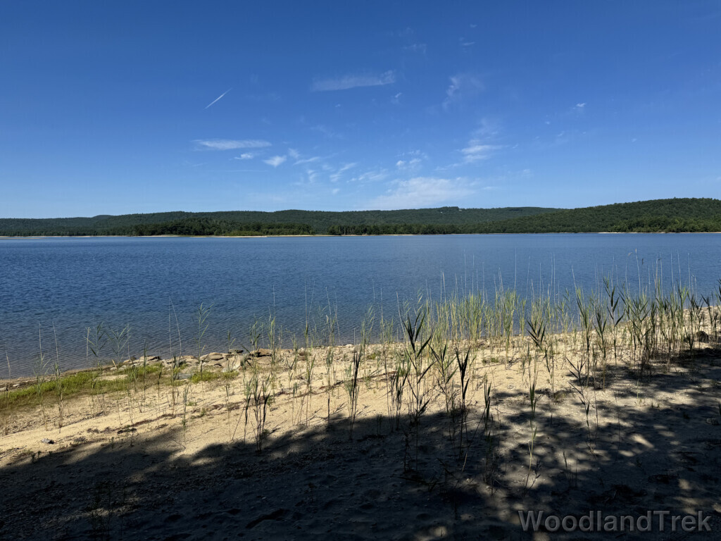 View of Quabbin Reservoir with sandy shoreline and short grasses