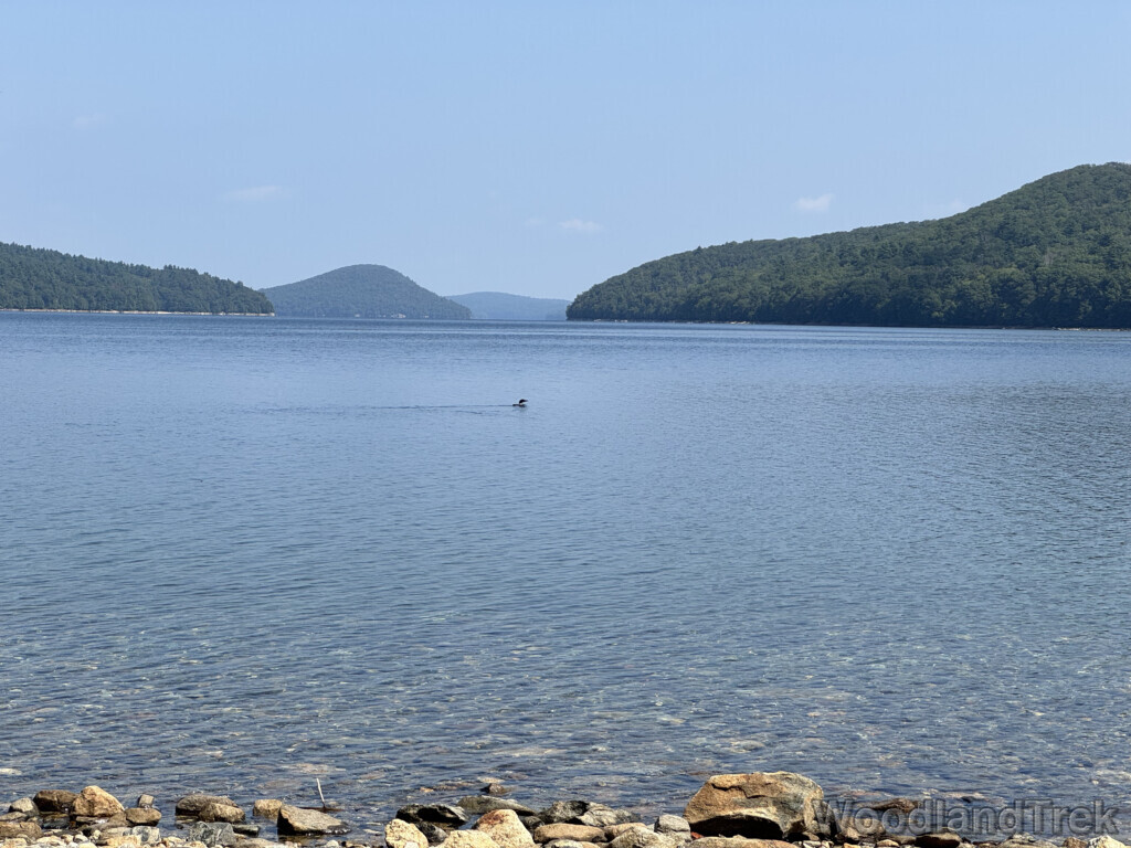 Crystal clear reservoir water with a loon floating and hazy sky