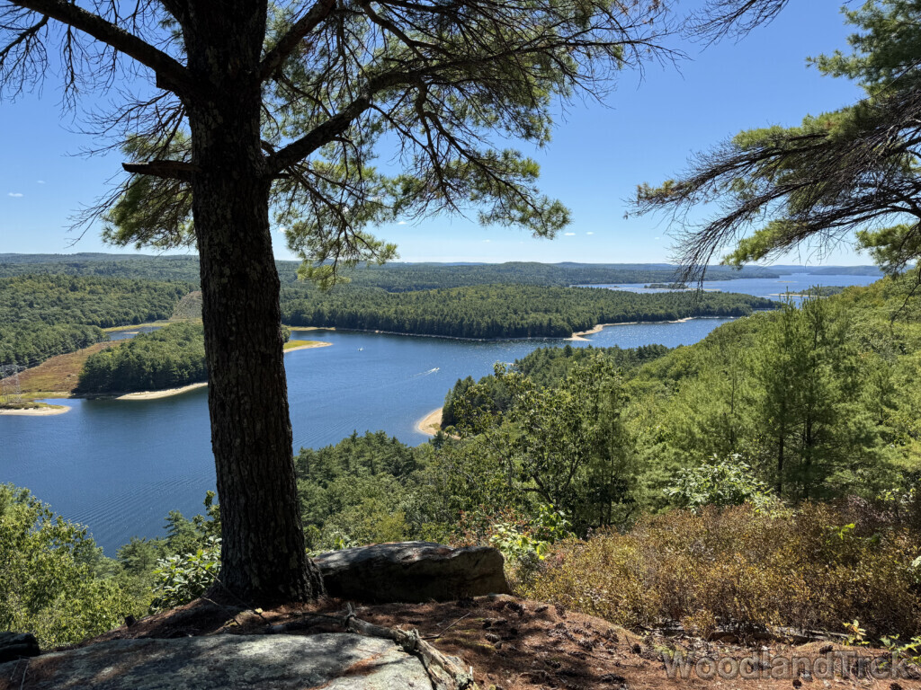 Shimmering reservoir viewed from Rattlesnake Hill, surrounded by dense forest