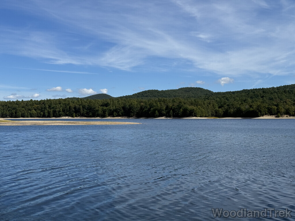 Water with subtle waves, dark green forest, hills in the distance, and wispy clouds