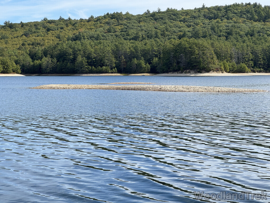 Calm water with soft reflective waves, sandbar, and forested shoreline