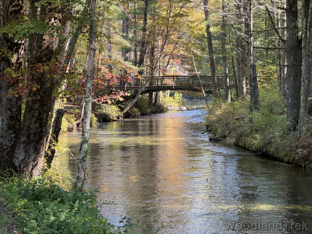 Swift River bridge at Windsor Dam on a calm day