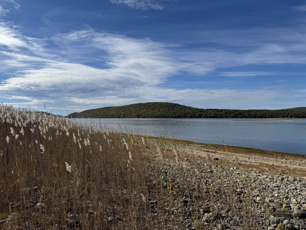 Quabbin Reservoir view of Mount L with tall grass and rocky shoreline under wispy clouds