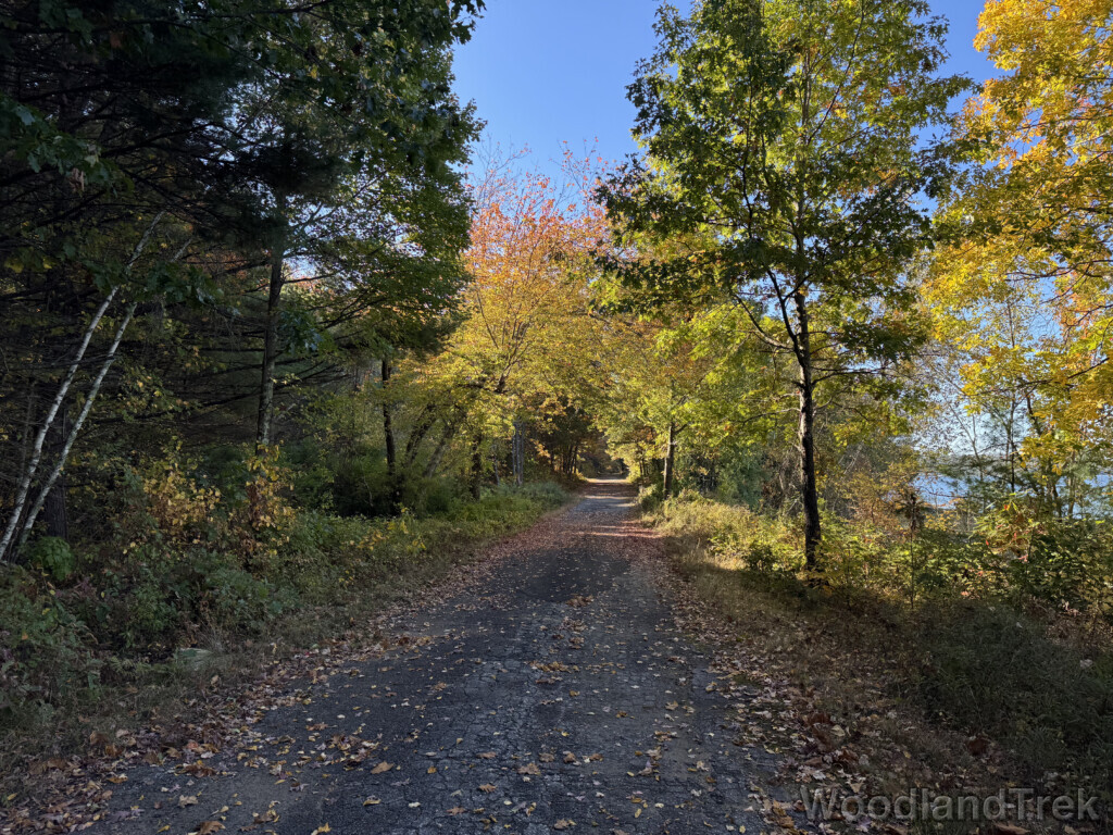 Rural road lined with trees changing to fall colors